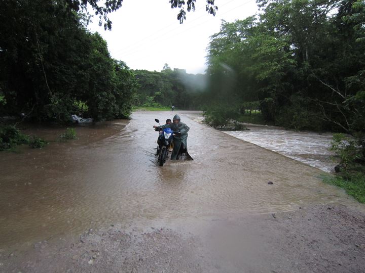 A motorbike crossing a flooded dirt road between trees